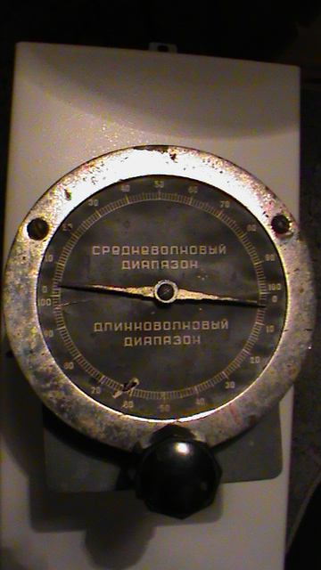 DSC00393.JPG