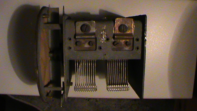 DSC00394.JPG
