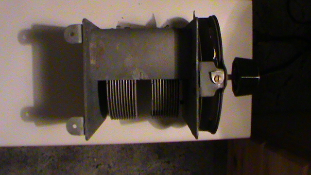 DSC00398.JPG